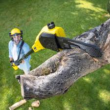 Seasonal Cleanup (Spring/Fall) in Parkwood, CA